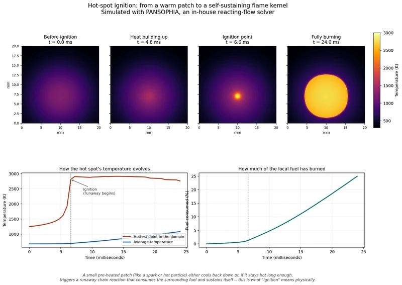 PANSOPHIA multiphysics test cases