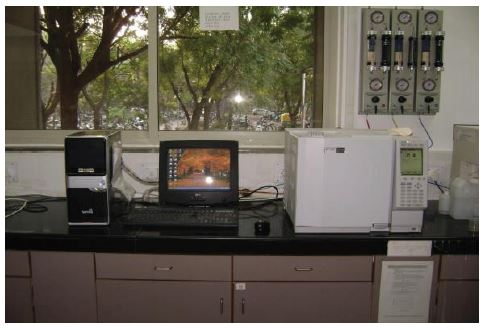 Gas chromatography setup