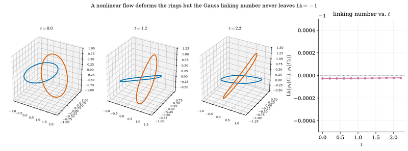 S003 Linked rings under a flow, linking number unchanged