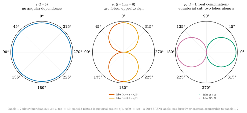 Course figure: angular shapes of s and p orbitals